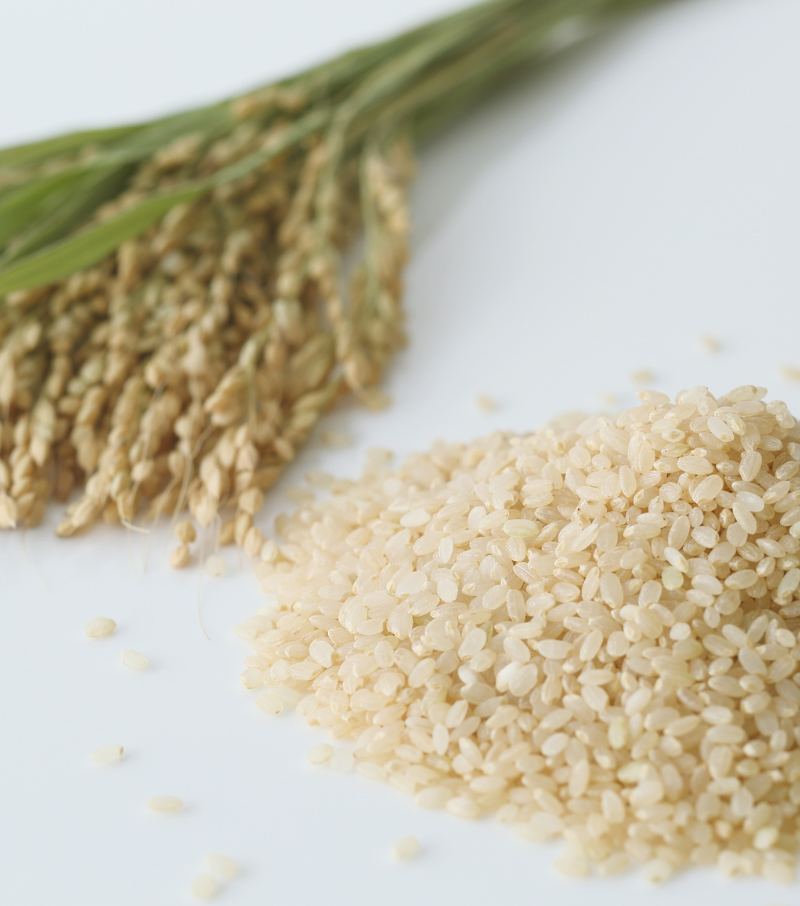 Research Paddy Seeds